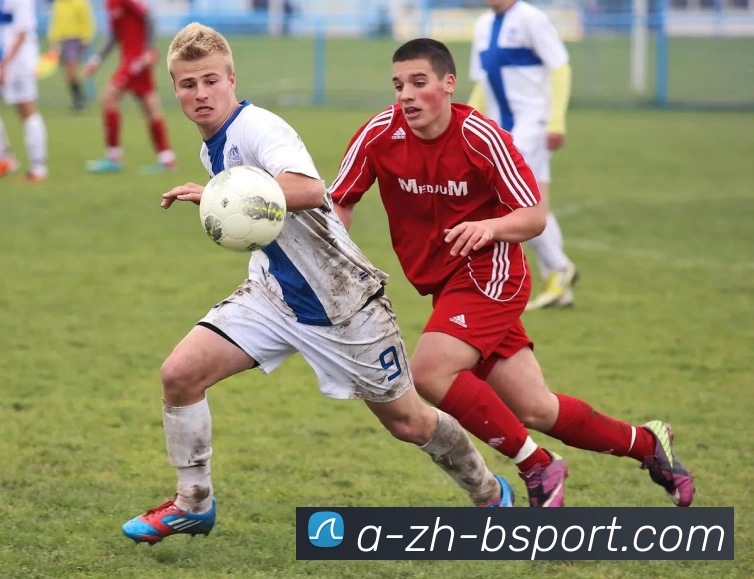 App Interface Preview