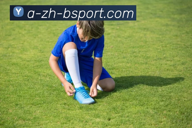 b体育APP 封面图